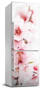 Hűtőre ragasztható matrica Mandula virág FridgeStick-70x190-f-79943111