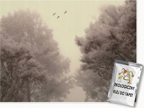 Fotótapéta Erdő Vintage Retro Hálószoba Nappali Tapéta Flizelina 400x280