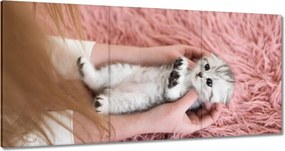 Képek 180x90 Cica Cicák Macskák