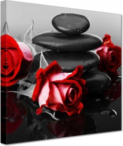 Vászonkép 20x20 Vörös rózsák Kövek