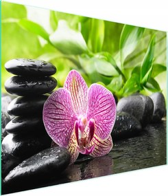 Üveg Vágódeszka 52x30 Orchidea Edzett Üveg