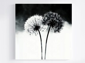 Vászonkép Canvas Grafika Modern Virágok Pitypang Fekete Fehér 40x40