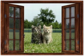 Poszterek 120x80 Cica Cicák Macskák