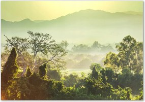 Lacobel üveg fotó nyomtatással Dzsungel Ragasztó Ingyenes