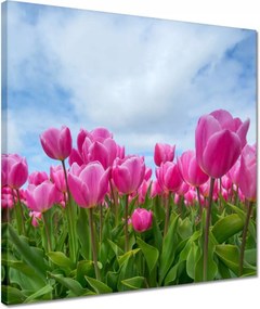 Vászonkép 40x40 Tulipánok Virágok