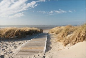 Flizelin tapéta Divatos 3D fali ragasztóval Tengeri ösvény 152x104 Ragasztó