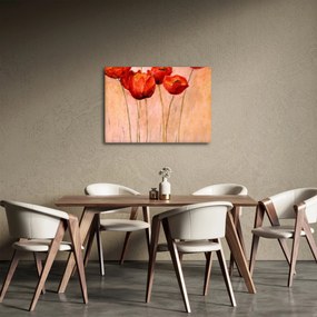 Kép - piros tulipán (70x50 cm)
