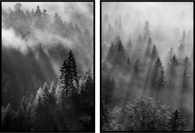 Diptichon erdő köd fa poszter falra 30x40cm
