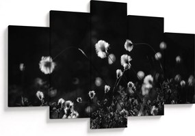 Kép - Gyapotfűvel borított rét N⁰1 (150x105 cm)