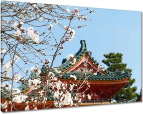 Vászonkép 100x70 Virágzó cseresznye Japánban
