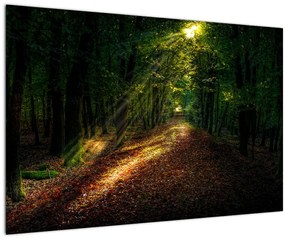 Erdei út képe (90x60 cm)