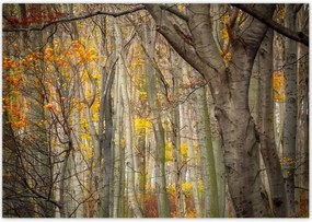 Poszterek 100x70 Tåjkép Låtvåny