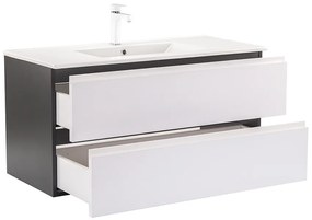 Vario Pull 100 komplett