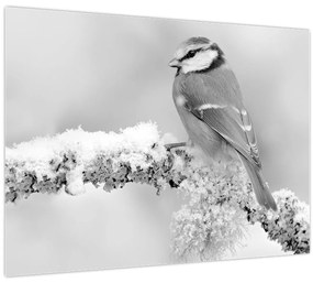 Üveg kép - Egy madár egy ágon (70x50 cm)