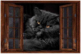 Poszterek 120x80 Cica Cicák