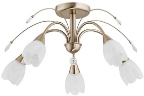 Mennyezeti lámpatest BASTER 5xE14/10W/230V aranyszínű