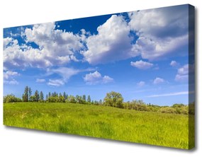 Vászonkép Réti perje Mennyország Landscape 100x50 cm
