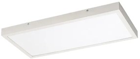Rabalux 71077 - LED Felületre szerelhető panel DAMEK LED/24W/230V 4000K 60x30 cm