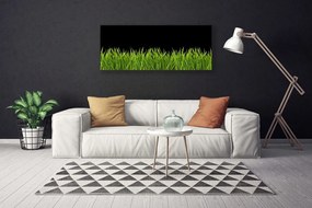 Vászonkép Green Grass Nature 125x50 cm