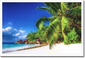 Poszter keretben 60x40 Trópusok Tájkép Pálmafák