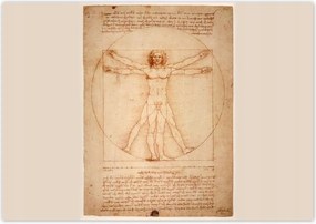 Poszterek 100x70 A vitruviusi ember