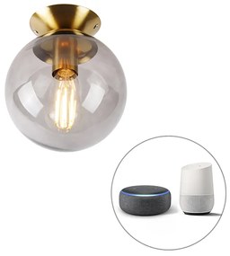 Intelligens mennyezeti sárgaréz lámpa füstüveggel, Wifi ST64-vel - Pallon