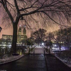 Poszter 20x20cm Esti kilátás a Central Parkra, Assaf Frank