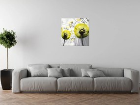 Gario Vászonkép Gyönyöru zöld pitypangok Méret: 50 x 40 cm