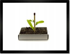 Poszterek keretben 40x30 Zöld erő