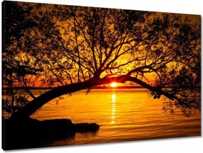 Vászonkép 90x60 Tengerpart Fa Tenger