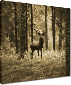 Vászonkép 50x50 Szarvas a szépia erdőben