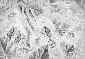 Fotótapéta monster pálmalevelek 254 x 184