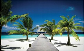 Fotótapéta tengerpart pálmafák tenger fotótapéta 312 x 219