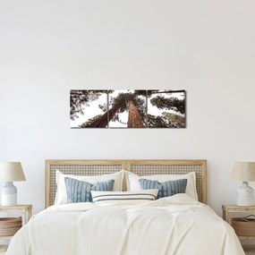 Kép - Kilátás a fák között (órával) (90x30 cm)