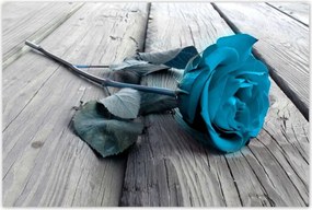 Poszterek 120x80 Kék rózsa a deszkákon