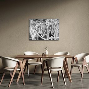 Kép - Fagyott levelek, fekete-fehér (70x50 cm)
