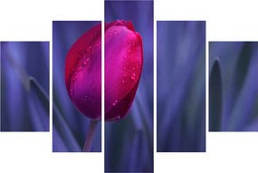 Tulipán bimbó képe (150x105 cm)