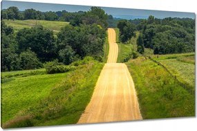 Vászonkép 120x70 Út Rét Mező Erdő