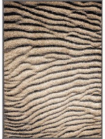 Barna szőnyeg 160x220 cm Avanti – FD