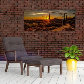 Kép - A nap vége az arizonai sivatagban (120x50 cm)