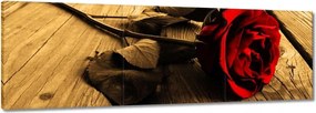 Vászonkép 150x50 Rózsa szépia deszkákon