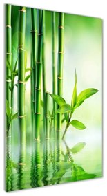 Egyedi üvegkép Bamboo vízben osv-120328411