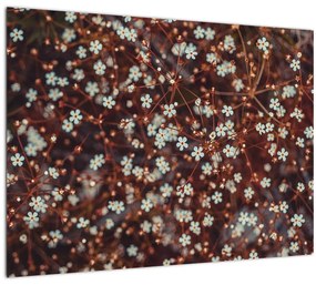 Erdei nefelejcs virág képe (70x50 cm)