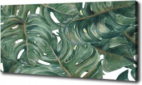 Canvas falikép Monstera 100x70 cm