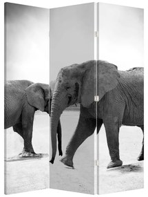 Paraván - Fekete fehér elefántok (126x170 cm)
