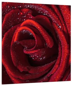 Piros rózsa képe (30x30 cm)