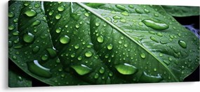 Kép - Részlet levél eső után (120x50 cm)