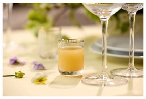 Röviditalos pohár szett 4 db-os 60 ml Palermo – Lyngby Glas