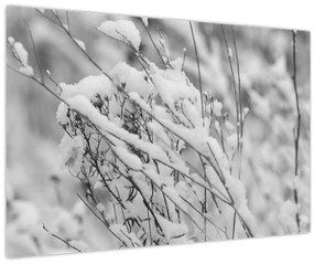 Kép - Havas ágak (90x60 cm)