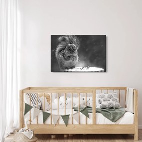Kép - Mókus télen (90x60 cm)